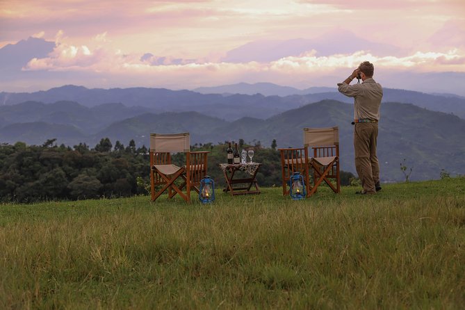6-Day Uganda Gorilla Adventure (Fly-in) - Day 4: Birding in Nombe Pocket Forest