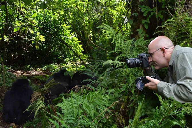 6 Days Chimps, Gorillas & Murchison Falls Africa's Big Five Experience Safari - Day 6: Returning for your flight
