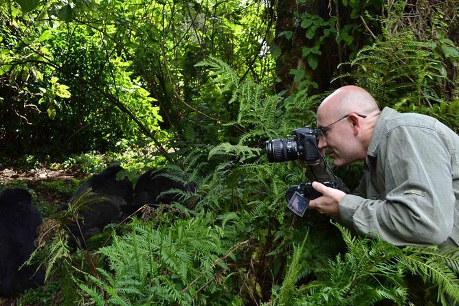 6 Days Chimps, Gorillas & Murchison Falls Africa's Big Five Experience Safari - Is $4,650 a fair price?