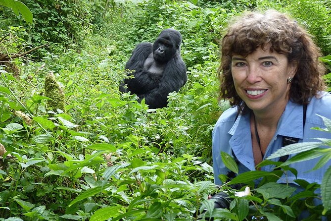 6 Days Uganda Gorilla, Chimps Trekking and Wildlife Safari - Day 1: A simple Entebbe arrival
