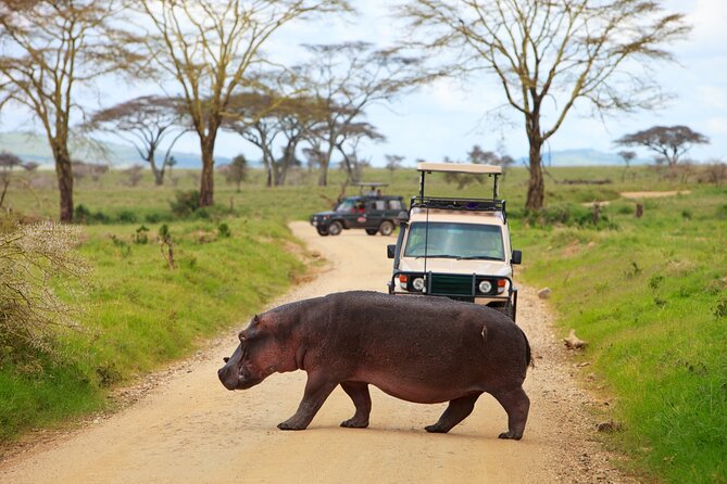 7-Day Private Uganda Gorilla Tracking Safari Tour From Entebbe - What the $2,999 price really includes