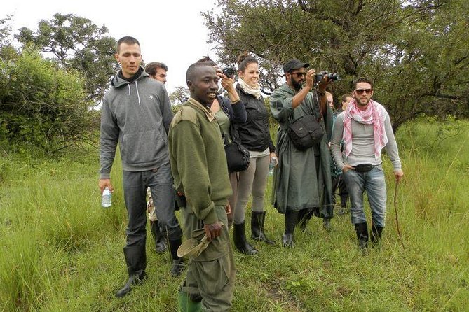 7-Day Uganda Adventure Safari - Midrange Lodges - Day five: Queen Elizabeth and the Kazinga Channel