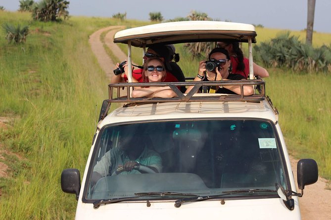 7-Day Uganda Adventure Safari - Midrange Lodges - Day six: northern game viewing and the Ishasha lion search