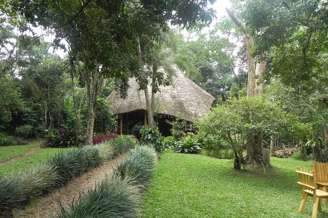 7 Days Flying Gorillas and Wildlife Safari Uganda Private Tour - Day 3: The Kazinga Channel by boat