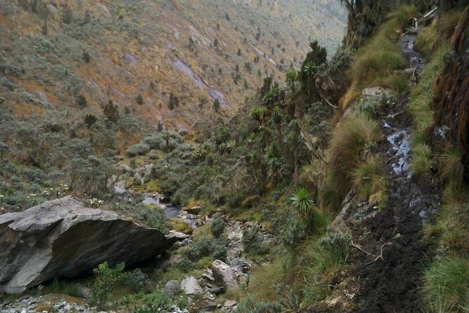 7 Days Fort Portal Culture Tour Western Uganda - A short taste of the Rwenzori Mountains