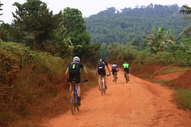 7 Hours Guided Cycling Tour to Sezibwa Waterfalls - Key points before you book