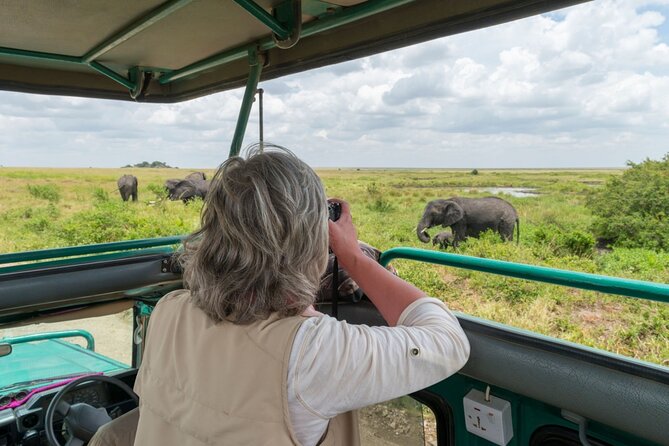 8-Day Classic Uganda Primates & Wildlife Tour - Day 7: Chimpanzees and Bigodi Wetlands