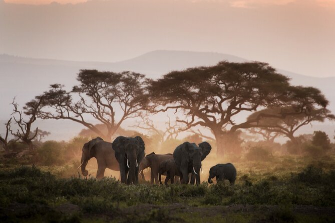 8-Day Classic Uganda Primates & Wildlife Tour - Day 2: Lake Mburo, the equator, and a first game drive