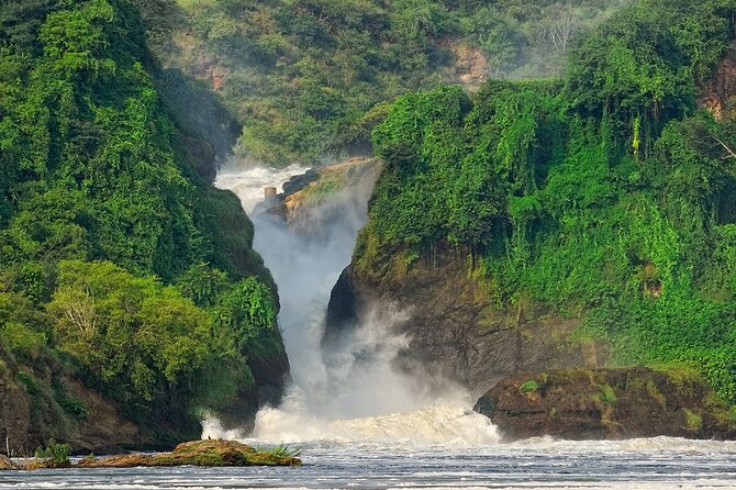 8-Day Murchison Falls, Chimp and Epic Gorilla Trekking - Why this route works for a first Uganda safari