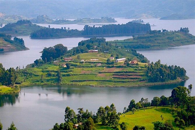 8-Day Murchison Falls, Chimp and Epic Gorilla Trekking - Day 4: Chimpanzee trekking in Kibale Forest