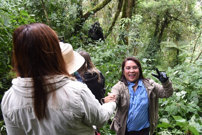 8-Day Private Uganda Big 5 Luxury Safari with Gorillas and Chimps - Day 6: Ishasha and the road to Bwindi