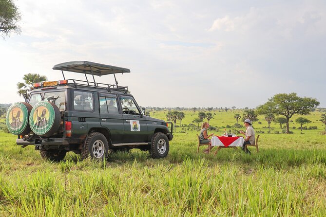 8-Day Private Uganda Big 5 Luxury Safari with Gorillas and Chimps - Day 7: Bwindi gorilla trekking