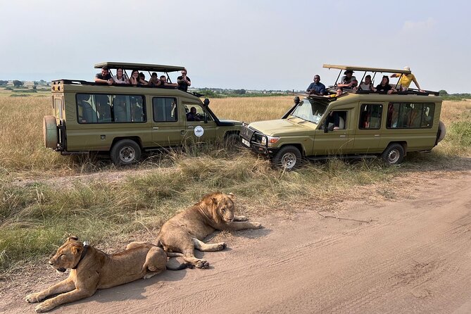 9 Days Uganda Wildlife Safaris, Gorilla Trekking & Hiking - Day 3: Game viewing and a Nile cruise at Murchison Falls