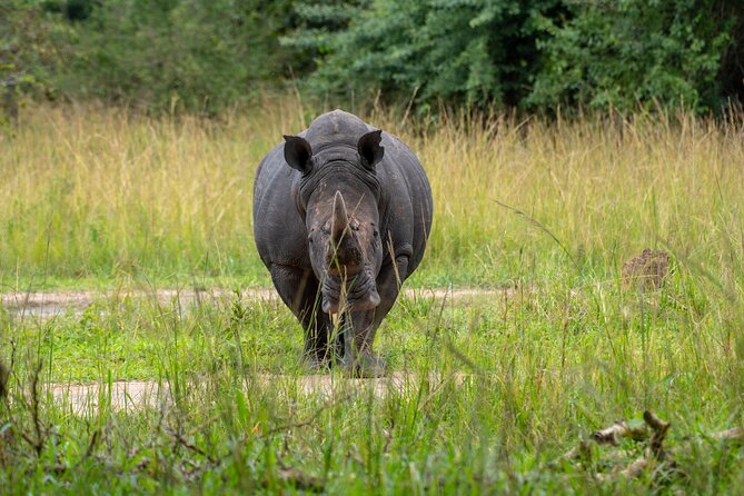A Thrilling 1-Day Rhino Tracking Tour in Uganda - What is not included