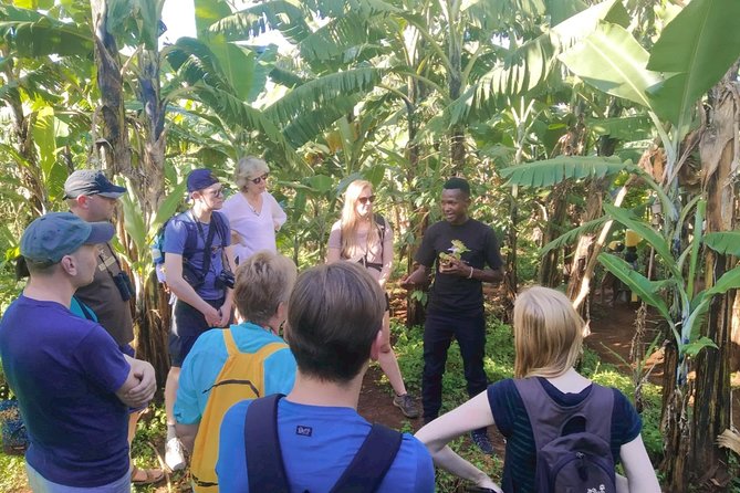 Coffee Tour Experience - What the Timing Really Means