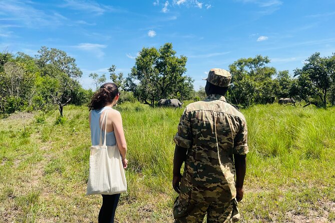 Day Tour Of Ziwa Rhino Sanctuary and Wildlife Ranch - ZIWA RHINO TREKKING - Why Ziwa Rhino Sanctuary works as a Kampala day trip