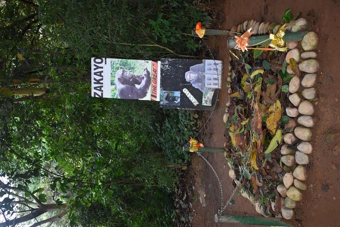 Entebbe Eco Tour - Full Day - Entebbe Botanical Gardens and the Lake Victoria views