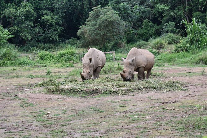 Entebbe Eco Tour - Full Day - Ugandan lunch and the value of a private guide
