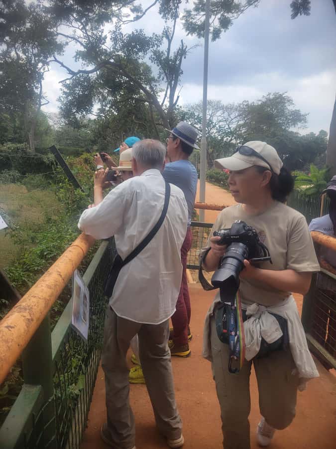 Entebbe: Female-Led Guided Walking Tour - Key points to know before you book