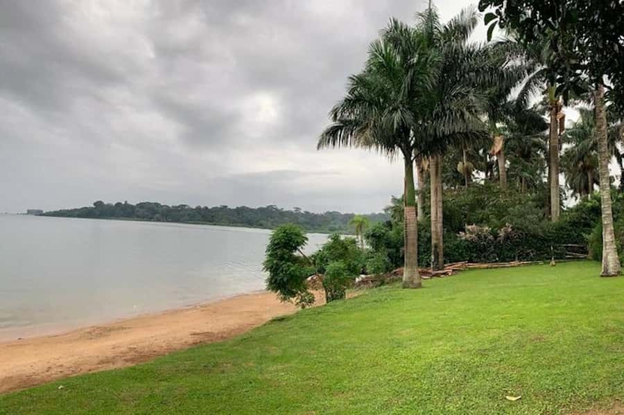Entebbe: Guided Walking Tour - Fresh fruit, herbs, and the market streets