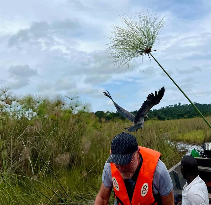 Entebbe: Mabamba Swamp Shoebill Tracking Boat Tour - Leaving Entebbe from Nakiwogo Landing Site