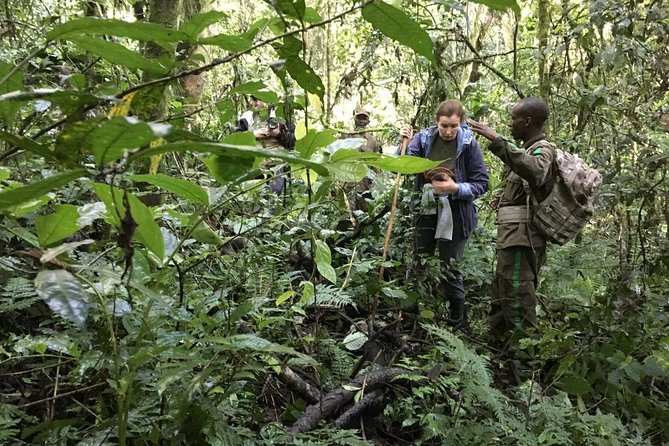 Experience Chimpanzee Trekking in Budongo Forest - What the $150 price includes