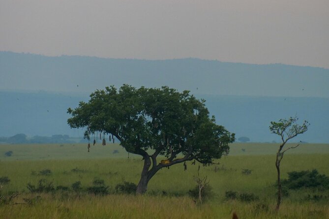 Exploring The Mighty Falls In Uganda - A three-day route from Kampala to the Nile