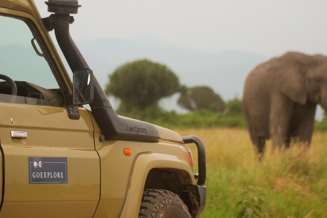 Exploring The Mighty Falls In Uganda - Game drives through Murchison Falls National Park