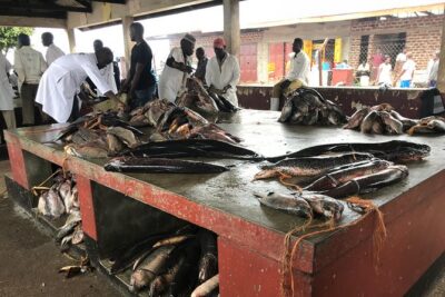 Fishing Village Food Tour & Luwombo Stop
