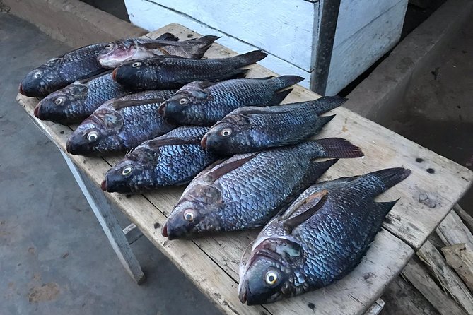 Fishing Village Food Tour & Luwombo Stop - Choosing between the fishing dock and quiet lakeside time