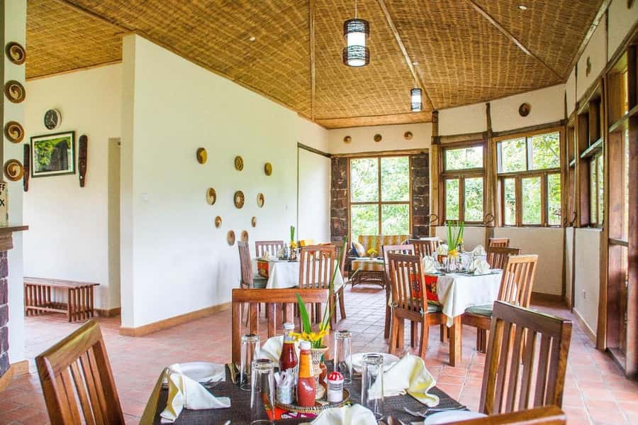 From Kigali: 2-Day Gorilla Trek: Bwindi Nat Park - My verdict: book it for convenience, but plan carefully