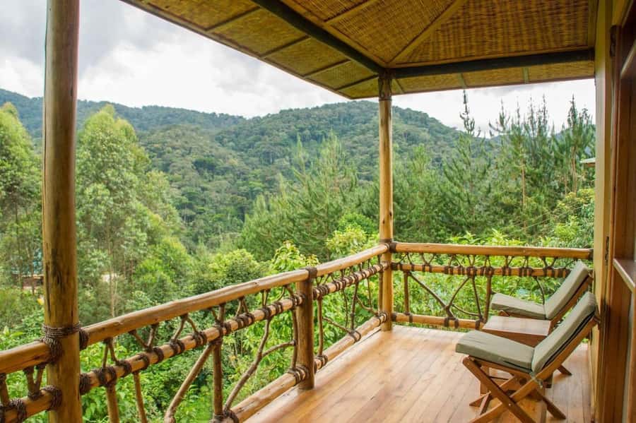 From Kigali: 2-Day Gorilla Trek: Bwindi Nat Park - The big appeal: two countries and one extraordinary hour