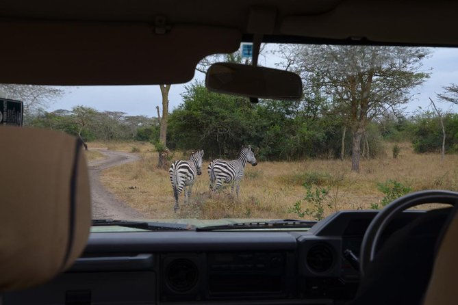 Full-Day Lake Mburo National Park Safari with Boat trip (2 day option available) - The game drive at Lake Mburo National Park