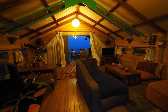 Gorilla and chimp experience holiday - Key points to know before booking