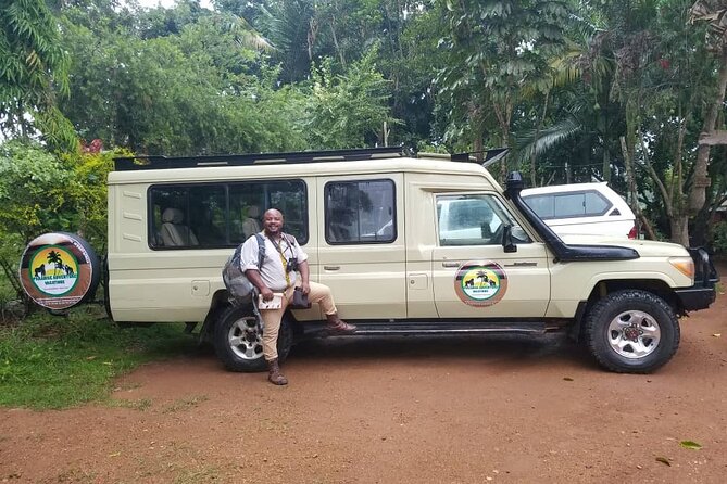 Gorilla & Chimpanzee Trekking in Uganda - 5 Days - Day 4: Gorilla trekking in Bwindi’s thick forest