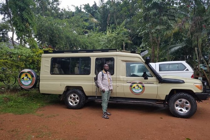 Gorilla & Chimpanzee Trekking in Uganda - 5 Days - The hard parts you should accept before going