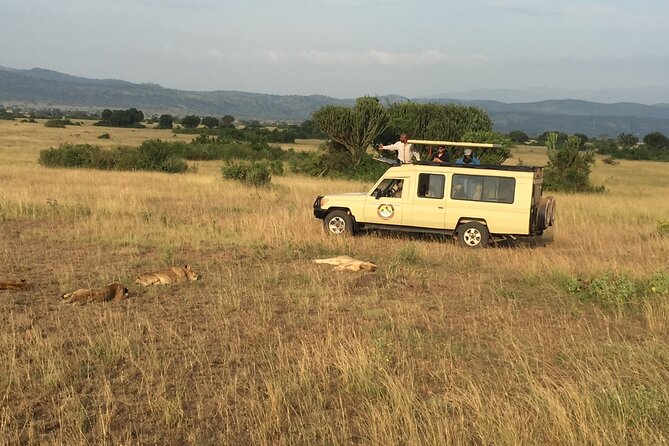 Gorilla & Chimpanzee Trekking in Uganda - 5 Days - Day 1: The equator, Mbarara, and Queen Elizabeth National Park