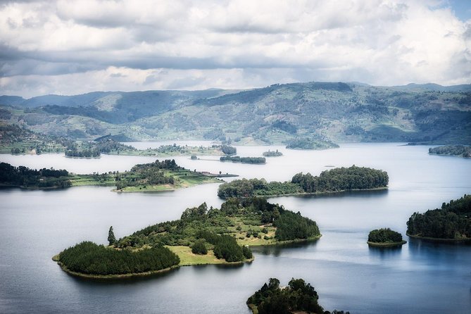 Gorilla Safari Holiday - Kampala to Bwindi in Four Days