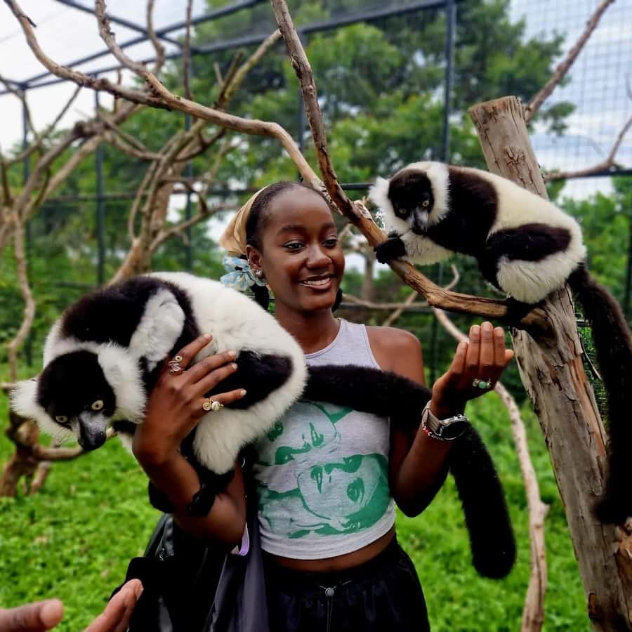 Kampala: Conservation Centre for Wildlife Guided Tour - Leaving Kampala for a compact wildlife day