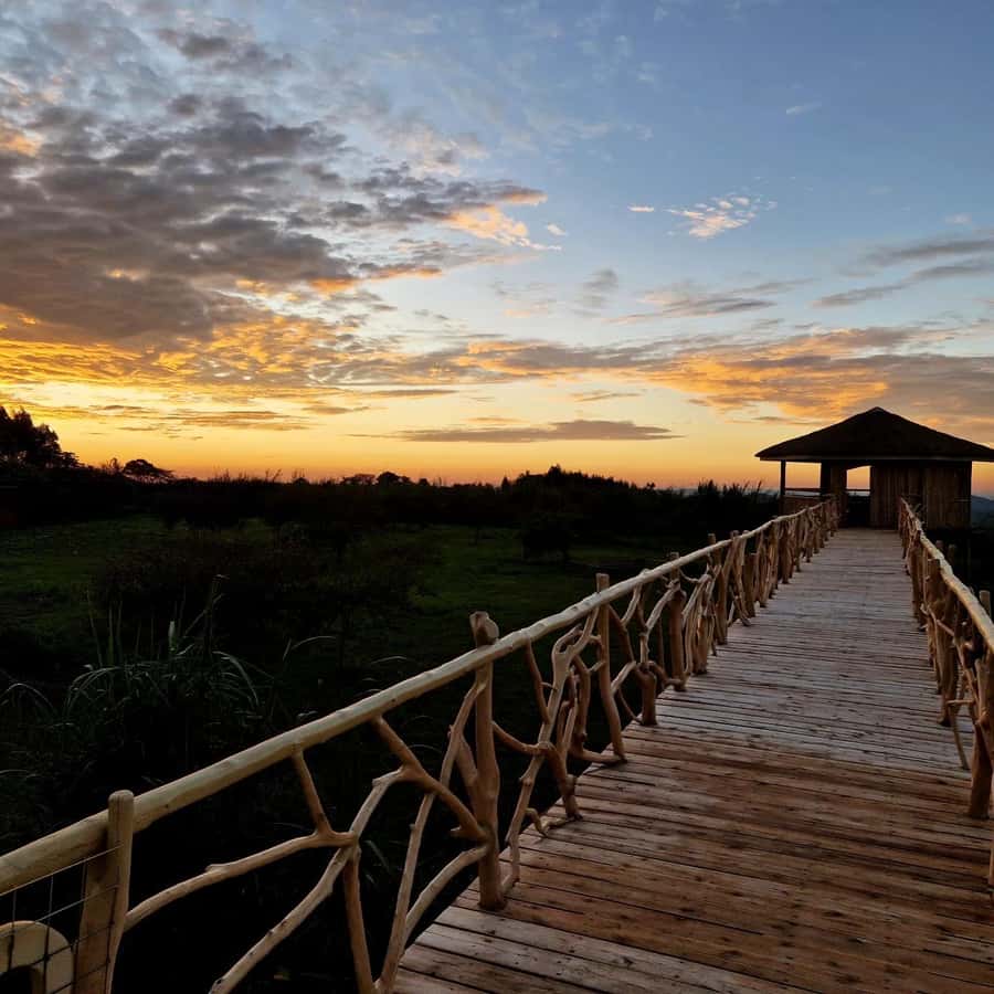 Kampala: Conservation Centre for Wildlife Guided Tour - Six hours on paper, value in practice