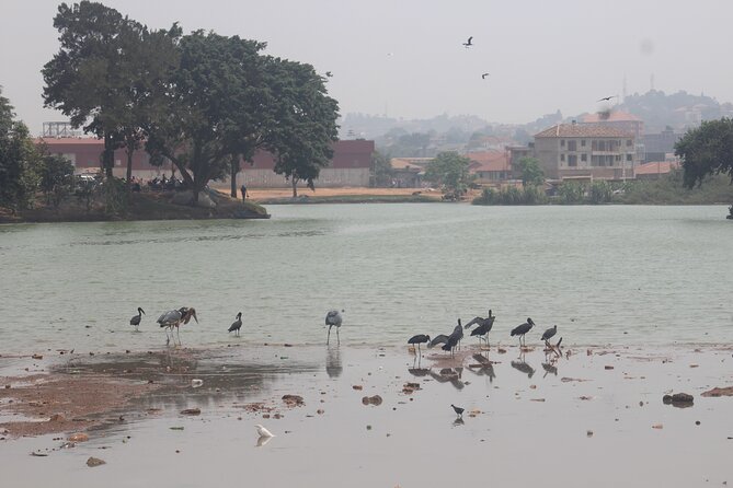 Kampala cultural tours - Kabaka’s Lake and Kampala’s wider cultural picture