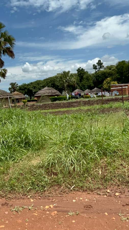 Kampala/Gulu: Traditional African Hut Building & Painting - Building a hut with your own hands