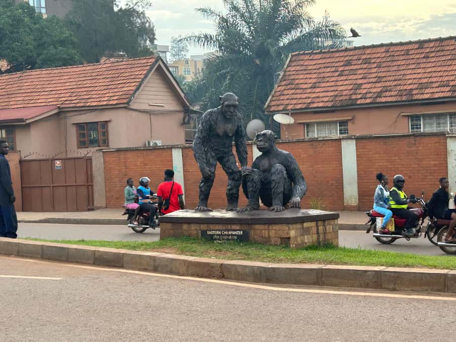 Kampala/Gulu: Traditional African Hut Building & Painting - Timing, transport, and pace