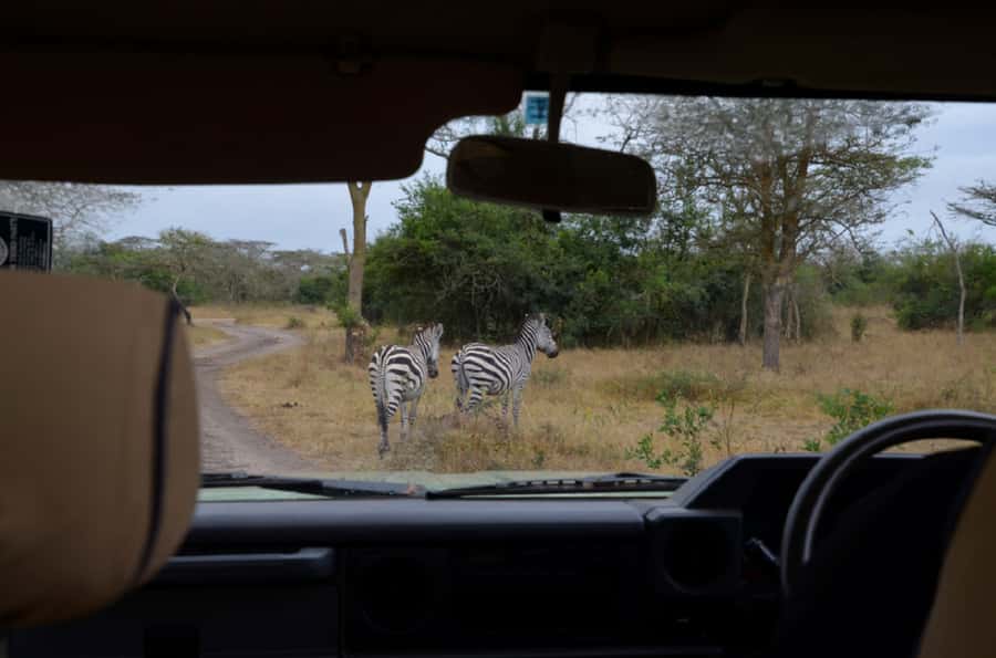 Lake Mburo National Park with Equator, Game Drive & Cruise - Who should book this Lake Mburo day trip?