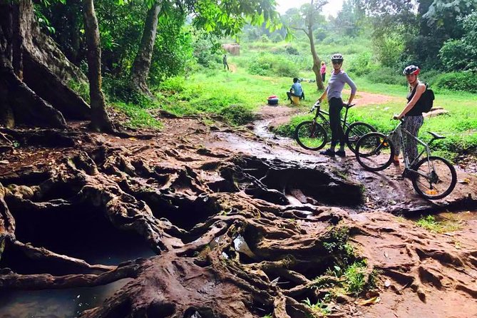 Lake Victoria Island Cycling Tour from Kampala - Timing, weather, and practical planning