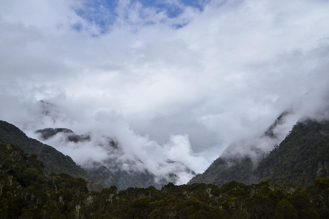 Mountain Rwenzori Trekking Uganda 9 Day Safari - Why the Rwenzori trek is different from a standard Uganda safari