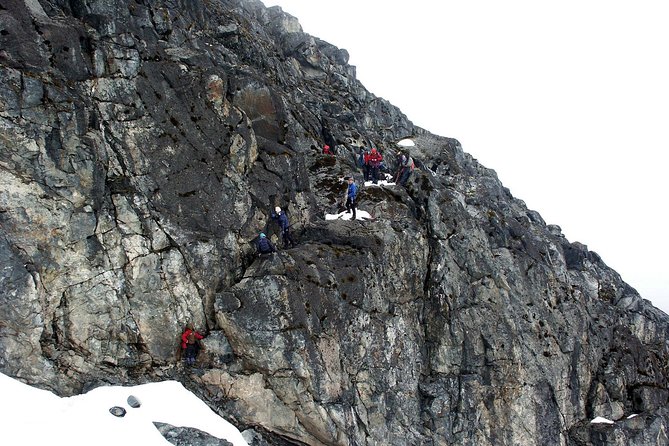 Mountain Rwenzori Trekking Uganda 9 Day Safari - Day 4: Bigo Bog and Lake Bujuku at 3,977 meters