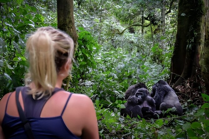Multi Day Private Gorillas and Chimpanzee Trekking Tour in Uganda - Key points worth knowing before you book
