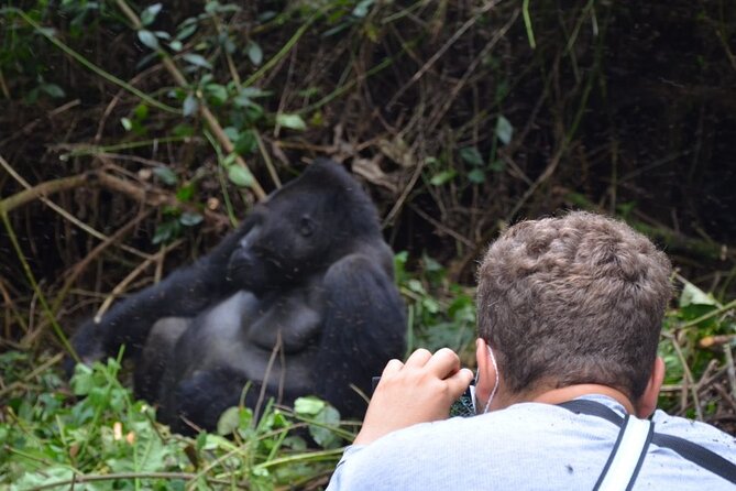 Multi Day Private Gorillas and Chimpanzee Trekking Tour in Uganda - Day 1: Entebbe arrival and a soft start in Kampala