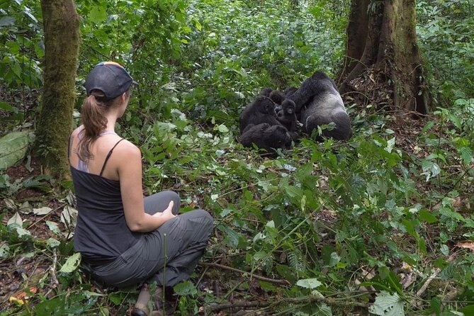 Multi Day Private Gorillas and Chimpanzee Trekking Tour in Uganda - Day 4: Crater lakes, Ishasha, and the road to Bwindi